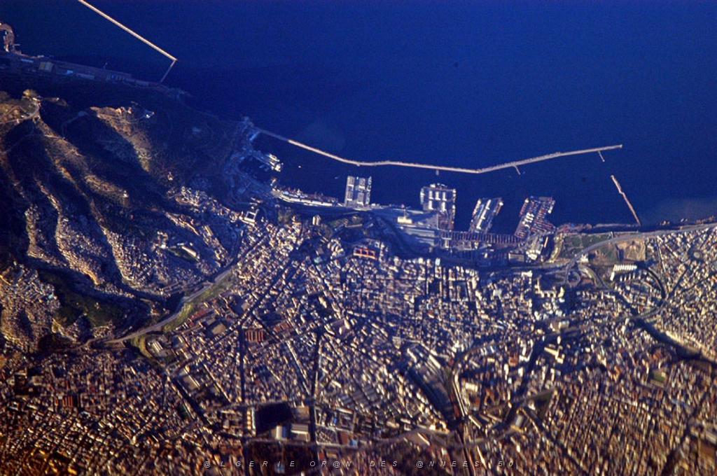 ORAN 379.JPG